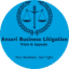 Ansari Business Litigation LLC